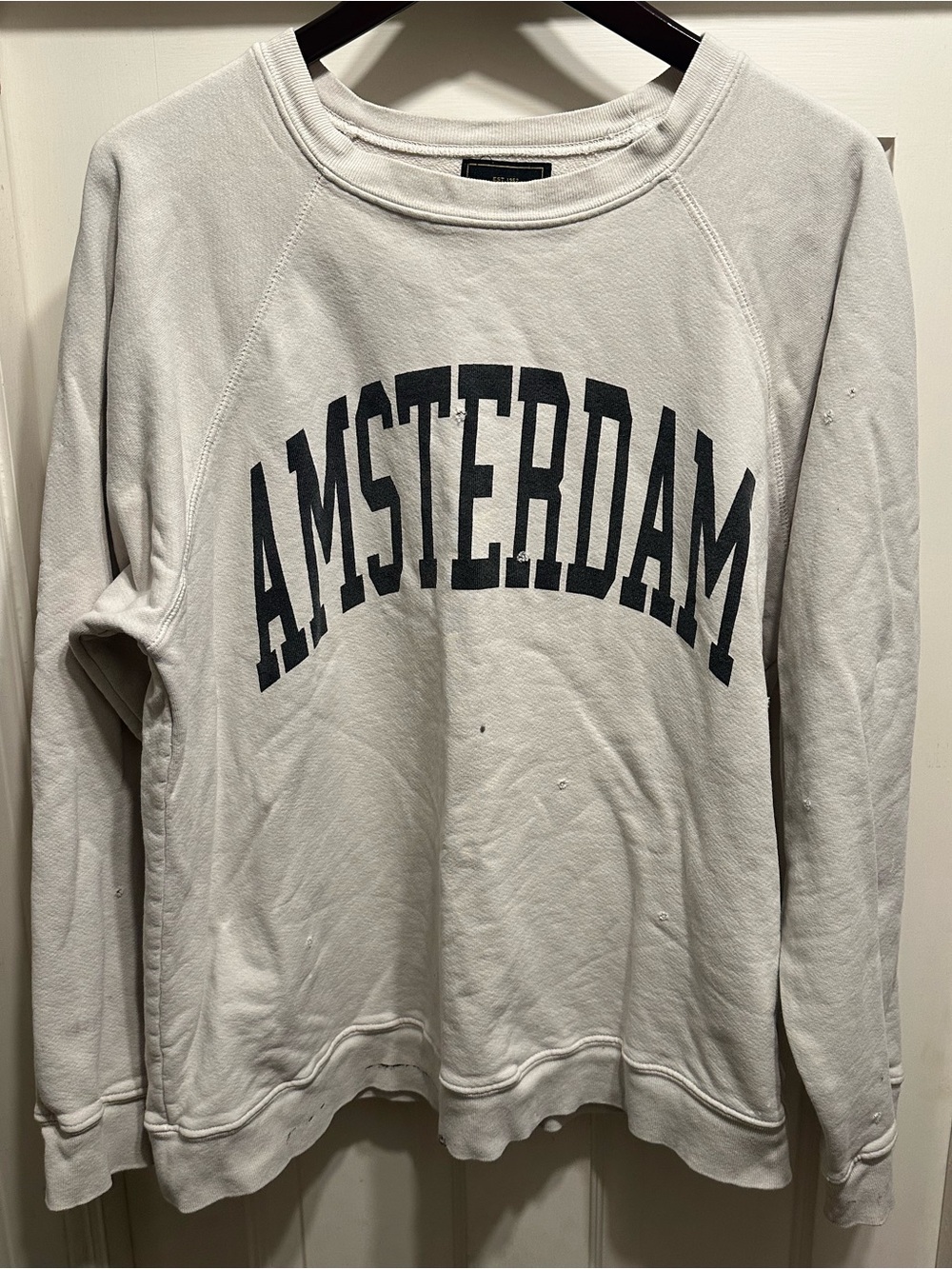 Anthropologie Amsterdam Graphic Crewneck Sweatshirt - Light Gray